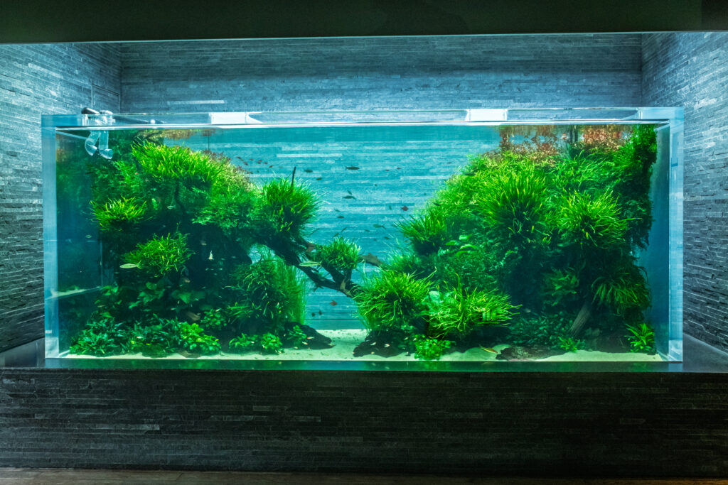  dsf1317